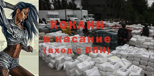 хмурый Магас