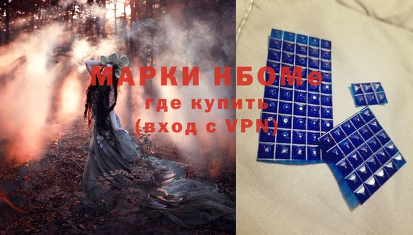 хмурый Магас