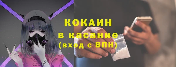 хмурый Магас