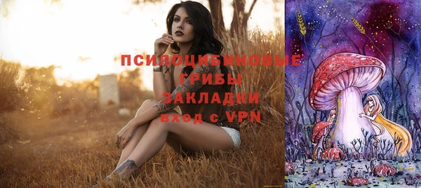 хмурый Магас
