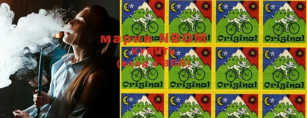 хмурый Магас
