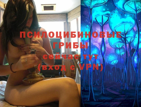 хмурый Магас
