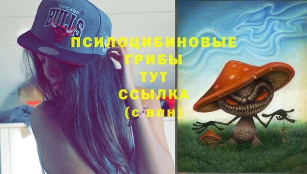 бошки Верея