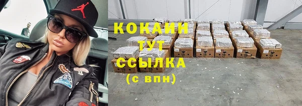 хмурый Магас