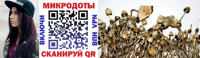 нарко площадка Telegram  наркошоп  Вышний Волочёк  Псилоцибиновые грибы Psilocybine cubensis 